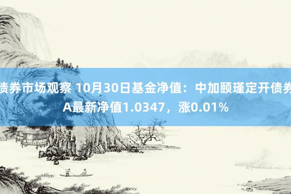 债券市场观察 10月30日基金净值：中加颐瑾定开债券A最新净值1.0347，涨0.01%