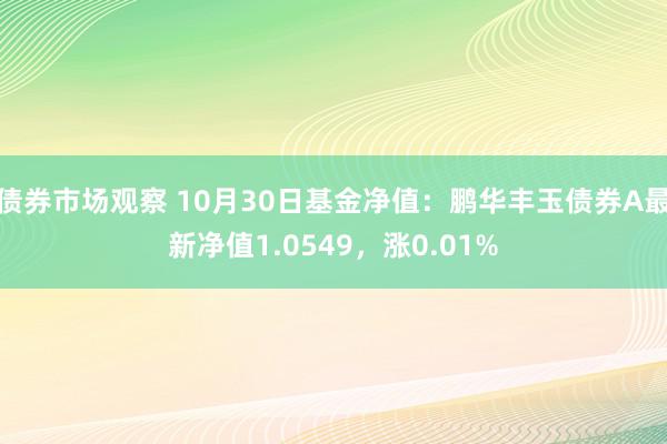 债券市场观察 10月30日基金净值：鹏华丰玉债券A最新净值1.0549，涨0.01%