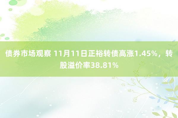 债券市场观察 11月11日正裕转债高涨1.45%，转股溢价率38.81%