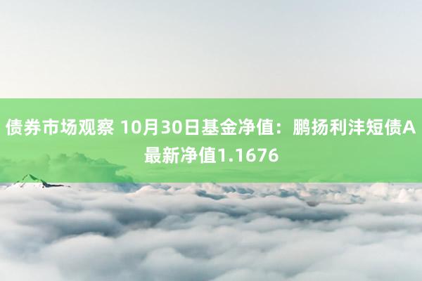 债券市场观察 10月30日基金净值：鹏扬利沣短债A最新净值1.1676