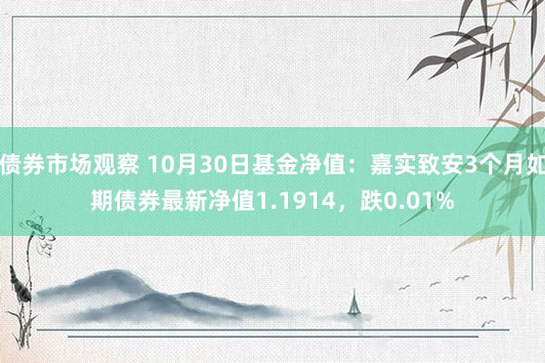 债券市场观察 10月30日基金净值：嘉实致安3个月如期债券最新净值1.1914，跌0.01%