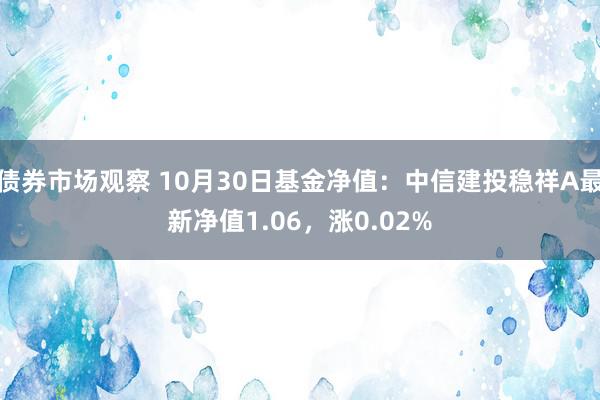 债券市场观察 10月30日基金净值：中信建投稳祥A最新净值1.06，涨0.02%