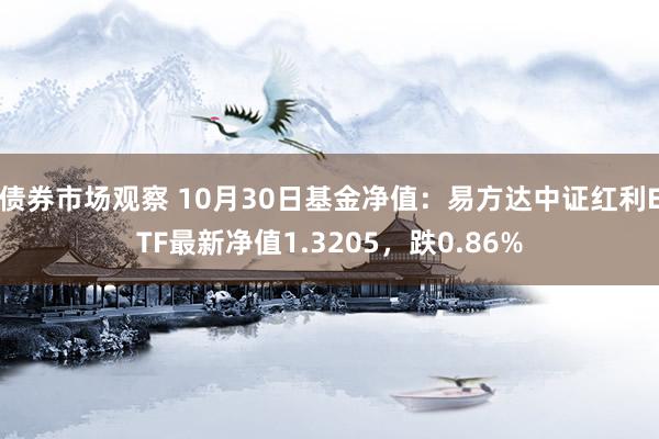 债券市场观察 10月30日基金净值：易方达中证红利ETF最新净值1.3205，跌0.86%