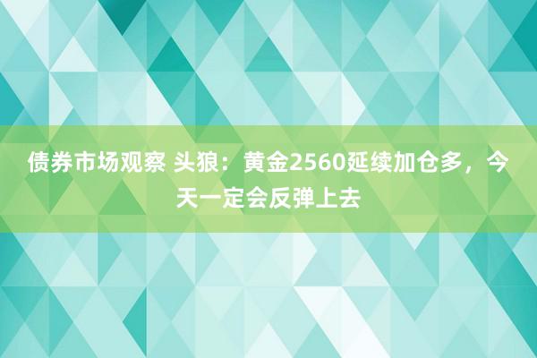 债券市场观察 头狼：黄金2560延续加仓多，今天一定会反弹上去