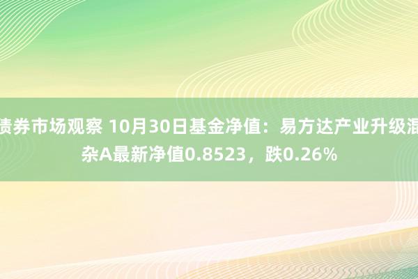 债券市场观察 10月30日基金净值：易方达产业升级混杂A最新净值0.8523，跌0.26%