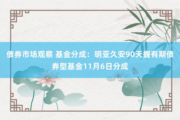 债券市场观察 基金分成：明亚久安90天握有期债券型基金11月6日分成