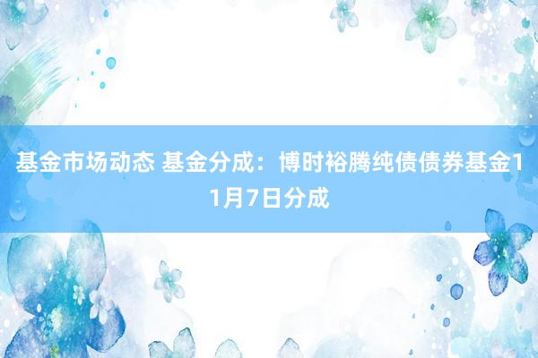 基金市场动态 基金分成：博时裕腾纯债债券基金11月7日分成