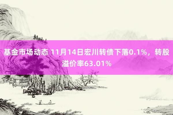 基金市场动态 11月14日宏川转债下落0.1%，转股溢价率63.01%