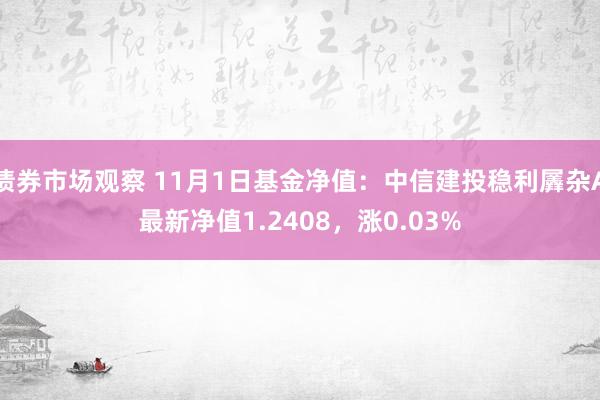 债券市场观察 11月1日基金净值：中信建投稳利羼杂A最新净值1.2408，涨0.03%