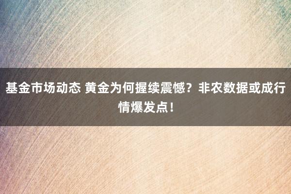 基金市场动态 黄金为何握续震憾？非农数据或成行情爆发点！