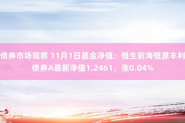 债券市场观察 11月1日基金净值：恒生前海恒源丰利债券A最新净值1.2461，涨0.04%