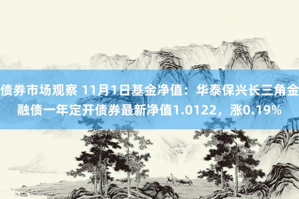 债券市场观察 11月1日基金净值：华泰保兴长三角金融债一年定开债券最新净值1.0122，涨0.19%