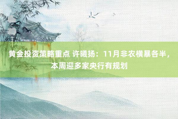 黄金投资策略重点 许曦扬：11月非农横暴各半，本周迎多家央行有规划