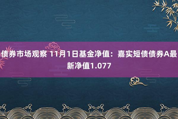 债券市场观察 11月1日基金净值：嘉实短债债券A最新净值1.077