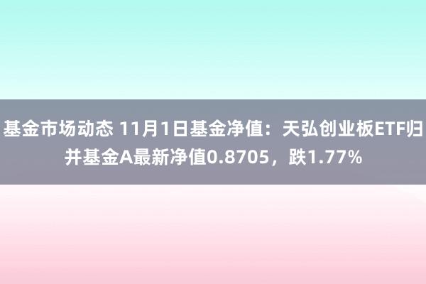 基金市场动态 11月1日基金净值：天弘创业板ETF归并基金A最新净值0.8705，跌1.77%