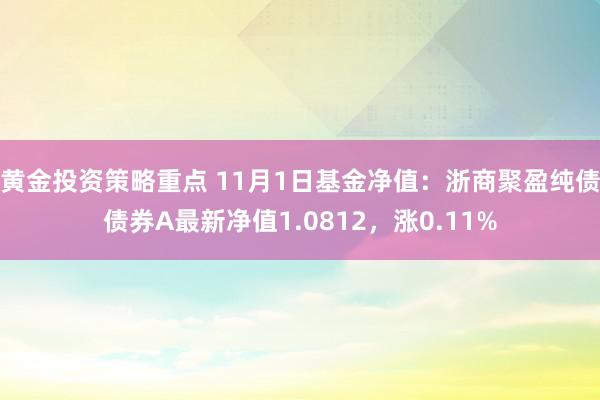 黄金投资策略重点 11月1日基金净值：浙商聚盈纯债债券A最新净值1.0812，涨0.11%