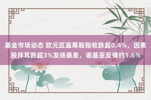 基金市场动态 欧元区蓝筹股指收跌超0.4%，因素股拜耳跌超3%发扬最差，诺基亚反弹约1.6%