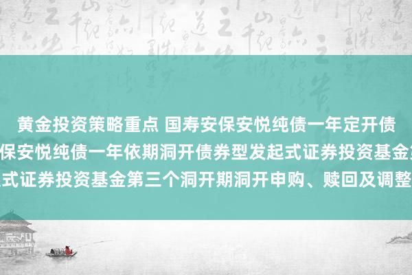 黄金投资策略重点 国寿安保安悦纯债一年定开债券发起式: 对于国寿安保安悦纯债一年依期洞开债券型发起式证券投资基金第三个洞开期洞开申购、赎回及调整业务的公告