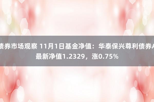 债券市场观察 11月1日基金净值：华泰保兴尊利债券A最新净值1.2329，涨0.75%