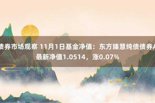 债券市场观察 11月1日基金净值：东方臻慧纯债债券A最新净值1.0514，涨0.07%