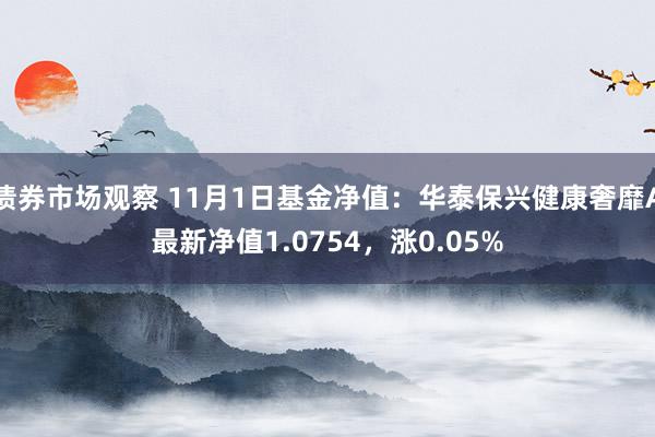 债券市场观察 11月1日基金净值：华泰保兴健康奢靡A最新净值1.0754，涨0.05%