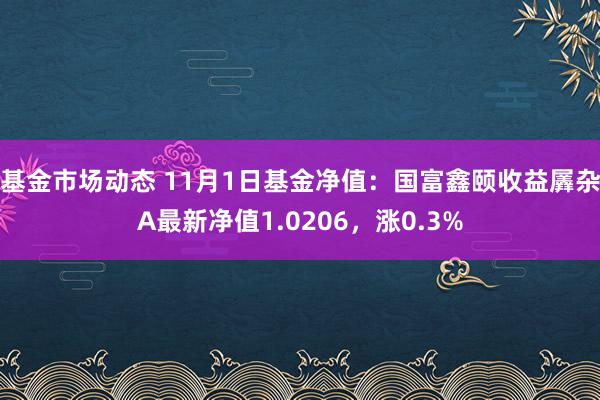 基金市场动态 11月1日基金净值：国富鑫颐收益羼杂A最新净值1.0206，涨0.3%