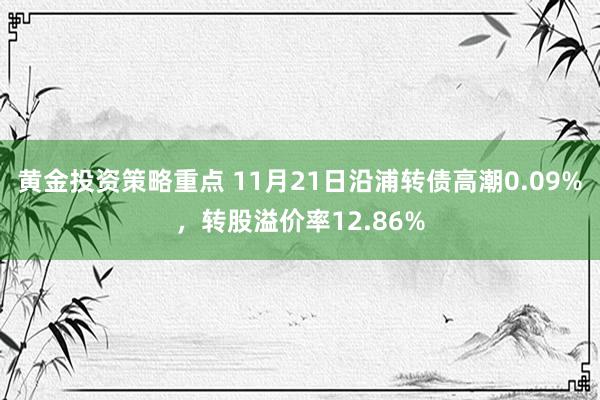 黄金投资策略重点 11月21日沿浦转债高潮0.09%，转股溢价率12.86%