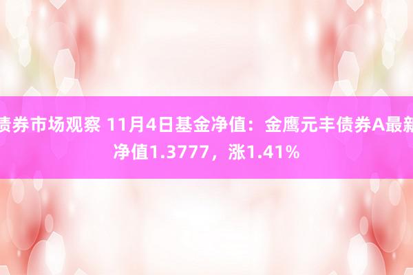 债券市场观察 11月4日基金净值：金鹰元丰债券A最新净值1.3777，涨1.41%