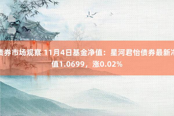 债券市场观察 11月4日基金净值：星河君怡债券最新净值1.0699，涨0.02%