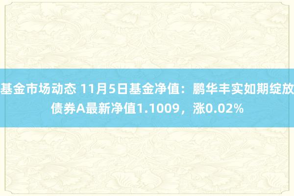 基金市场动态 11月5日基金净值：鹏华丰实如期绽放债券A最新净值1.1009，涨0.02%