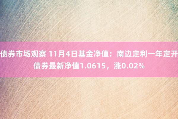 债券市场观察 11月4日基金净值：南边定利一年定开债券最新净值1.0615，涨0.02%