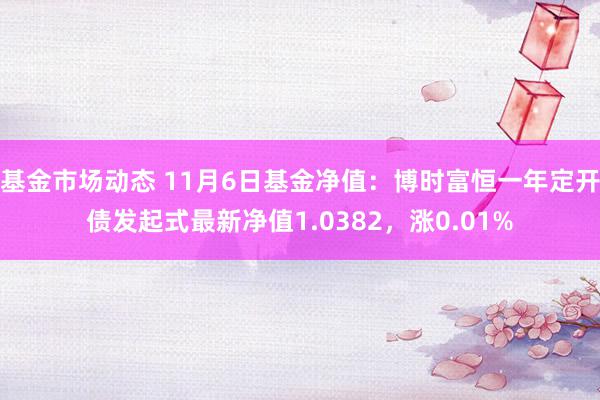 基金市场动态 11月6日基金净值：博时富恒一年定开债发起式最新净值1.0382，涨0.01%