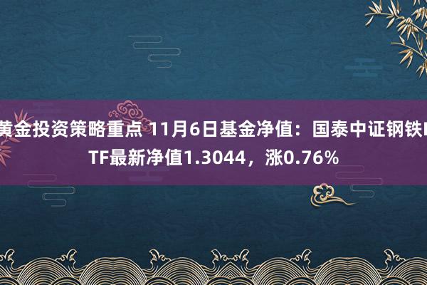 黄金投资策略重点 11月6日基金净值：国泰中证钢铁ETF最新净值1.3044，涨0.76%