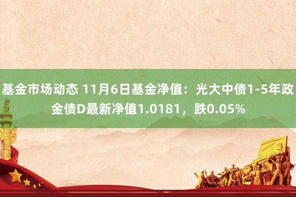 基金市场动态 11月6日基金净值：光大中债1-5年政金债D最新净值1.0181，跌0.05%