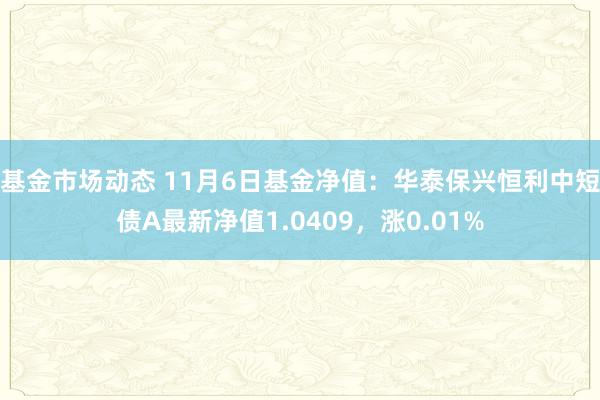 基金市场动态 11月6日基金净值：华泰保兴恒利中短债A最新净值1.0409，涨0.01%