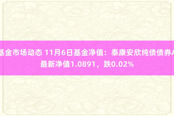 基金市场动态 11月6日基金净值：泰康安欣纯债债券A最新净值1.0891，跌0.02%