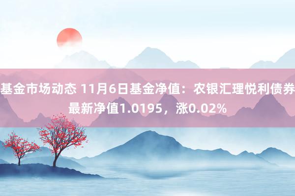 基金市场动态 11月6日基金净值：农银汇理悦利债券最新净值1.0195，涨0.02%