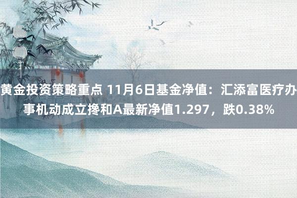 黄金投资策略重点 11月6日基金净值：汇添富医疗办事机动成立搀和A最新净值1.297，跌0.38%