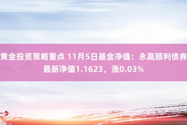 黄金投资策略重点 11月5日基金净值：永赢颐利债券最新净值1.1623，涨0.03%