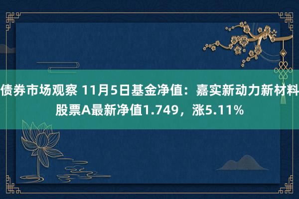 债券市场观察 11月5日基金净值：嘉实新动力新材料股票A最新净值1.749，涨5.11%