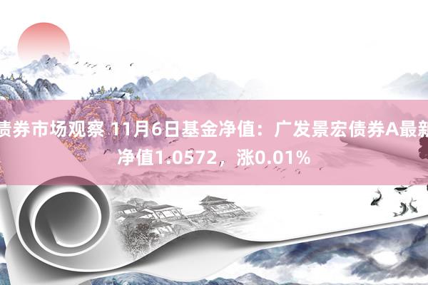 债券市场观察 11月6日基金净值：广发景宏债券A最新净值1.0572，涨0.01%