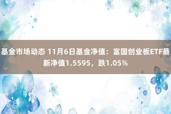 基金市场动态 11月6日基金净值：富国创业板ETF最新净值1.5595，跌1.05%