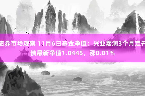 债券市场观察 11月6日基金净值：兴业嘉润3个月定开债最新净值1.0445，涨0.01%