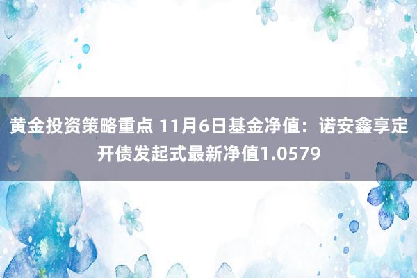 黄金投资策略重点 11月6日基金净值：诺安鑫享定开债发起式最新净值1.0579