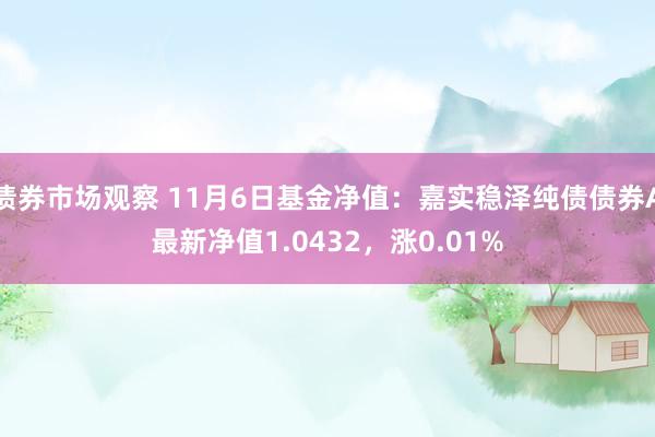 债券市场观察 11月6日基金净值：嘉实稳泽纯债债券A最新净值1.0432，涨0.01%