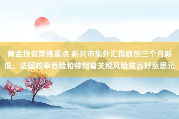 黄金投资策略重点 新兴市集外汇指数创三个月新低，法国政事危险和特朗普关税风险推高好意思元