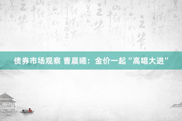 债券市场观察 曹晨曦：金价一起“高唱大进”