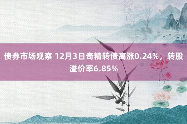 债券市场观察 12月3日奇精转债高涨0.24%，转股溢价率6.85%