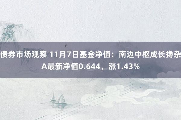 债券市场观察 11月7日基金净值：南边中枢成长搀杂A最新净值0.644，涨1.43%