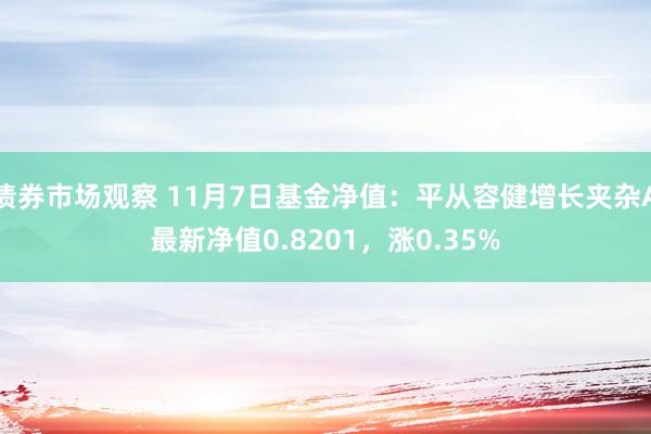 债券市场观察 11月7日基金净值：平从容健增长夹杂A最新净值0.8201，涨0.35%